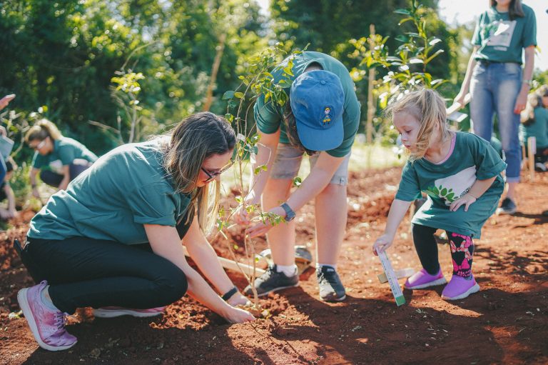 Londrina promove plantio de árvores em comemoração ao Dia Mundial da Árvore