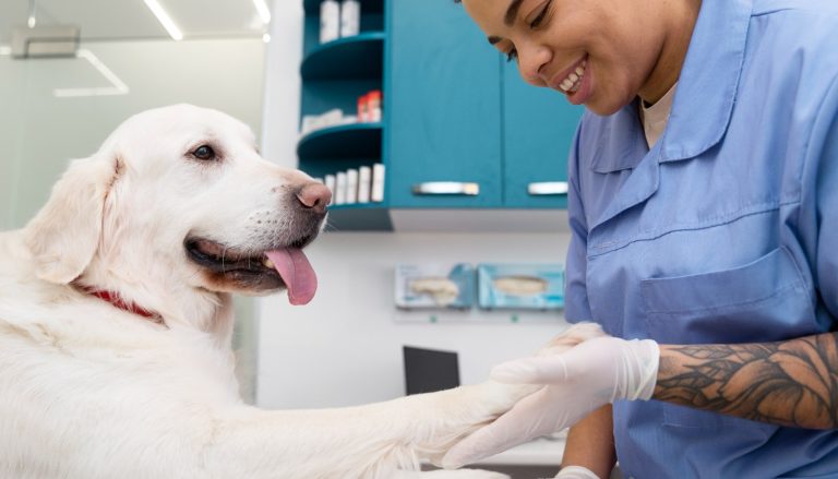 UniCuritiba sedia congresso internacional de fisioterapia veterinária