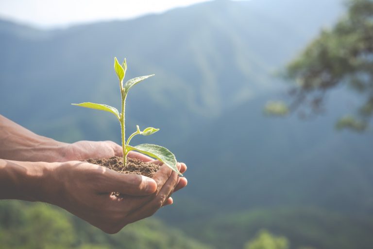 Empresas precisam estar atentas a particularidades dos processos de responsabilidade ambiental