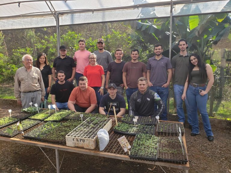 Hortaliças cultivadas por alunos de universidade beneficiam comunidades carentes