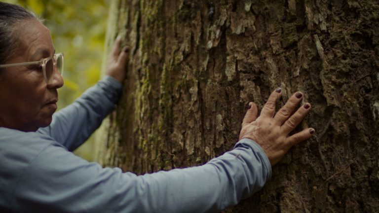 Modelo de negócios da Natura na Amazônia é retratado em série sobre impacto positivo