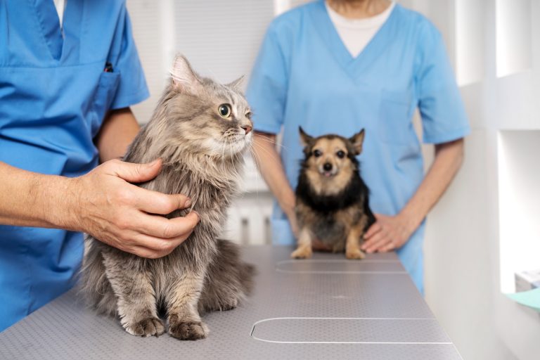 MedVet Day vai reunir tutores e pets no UniCuritiba