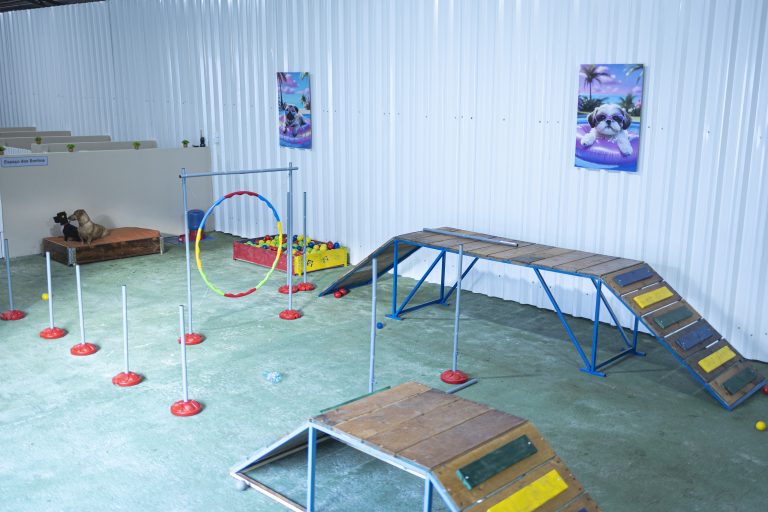 Mercado pet em alta impulsiona novo negócio premium em Curitiba Mercado pet em alta impulsiona novo negócio premium em Curitiba