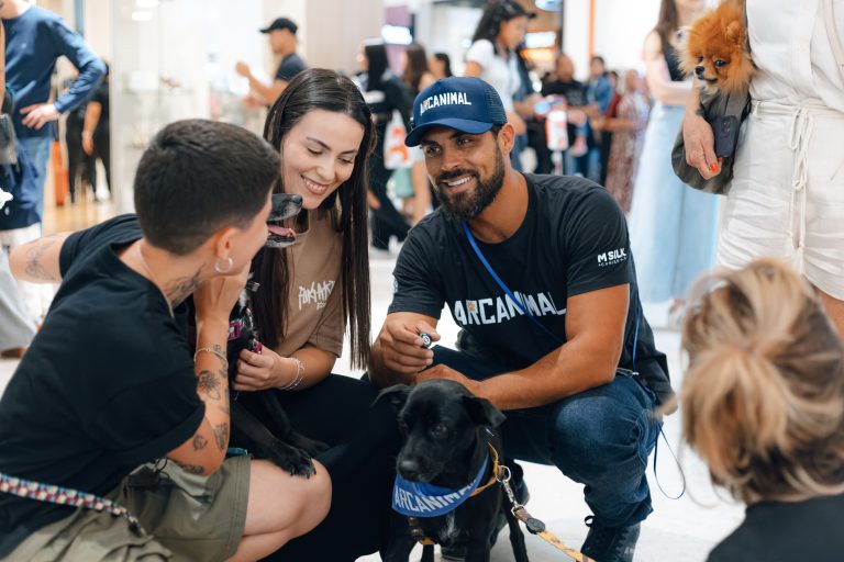 Curitiba recebe evento de adoção de animais