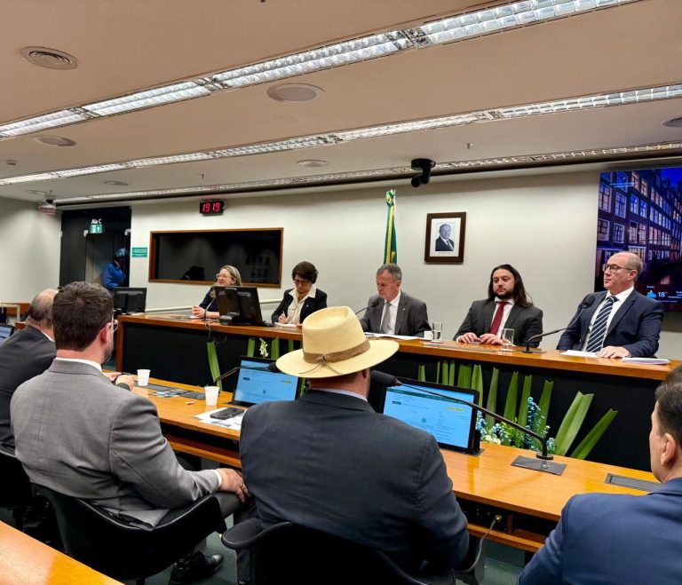 Organização social do Paraná apresenta projetos para a bancada paranaense na Câmara Federal, em Brasília