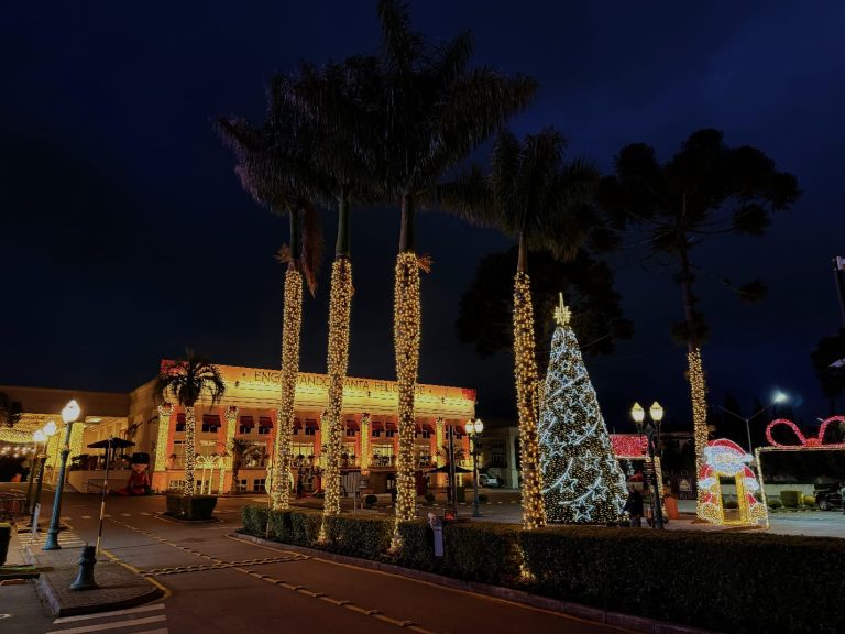 Família Madalosso celebra a chegada do Natal com decoração especial