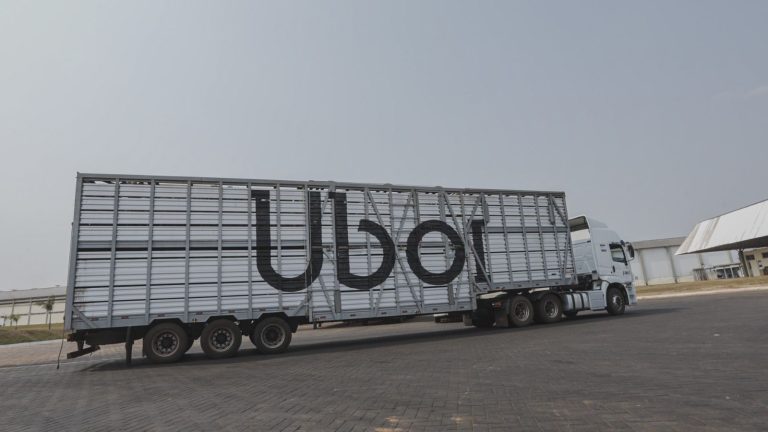 Uboi, da JBS, ultrapassa 5 milhões de cabeças de gado transportadas no Brasil
