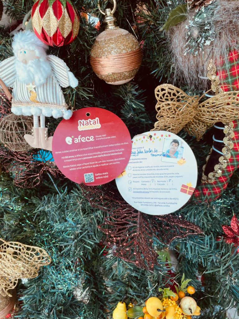 Afece lança campanha de Natal e convida comunidade a presentear pessoas com múltiplas deficiências