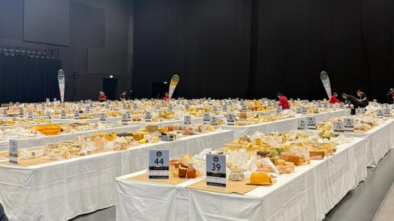 Queijos brasileiros trazem 50 medalhas do Mundial na Suíça e movimentam agronegócio