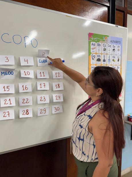 Educação interrompida no Brasil: milhões ainda não sabem ler ou escrever e universidades se mobilizam para enfrentar o desafio