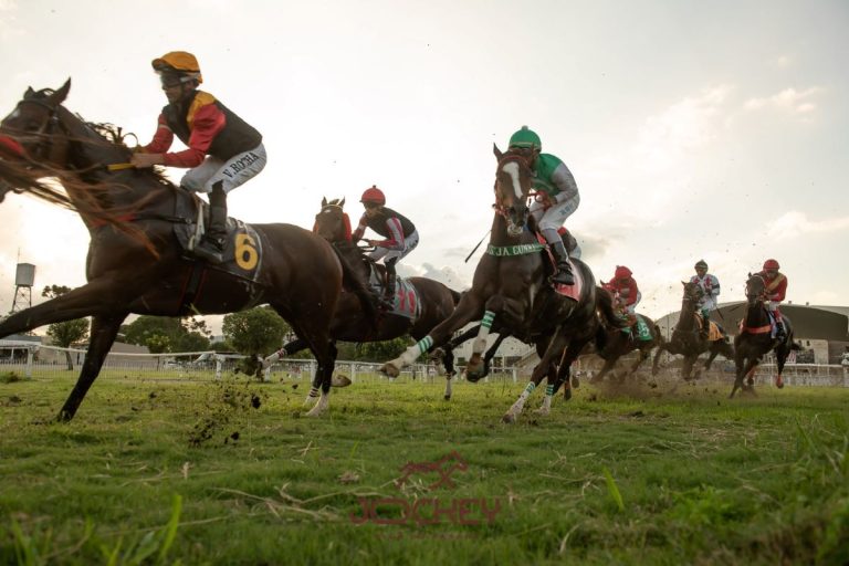 Dia do Derby, no próximo domingo,  reúne corridas, atrações para toda a família e exposição de arte no Jockey Club do Paraná
