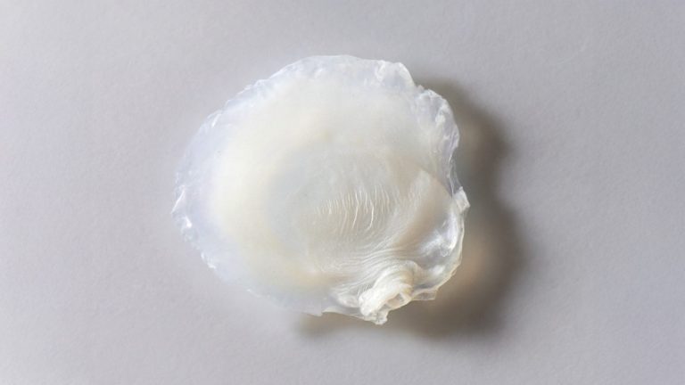 Avon desenvolve primeira pele bioimpressa em laboratório que reproduz efeitos da menopausa