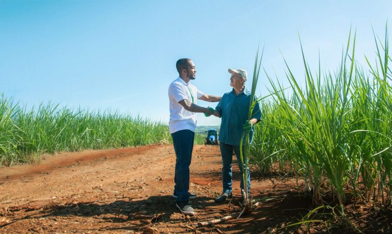 Crédito rural do Sicredi soma R$ 13,7 bilhões em São Paulo, Rio de Janeiro e Paraná