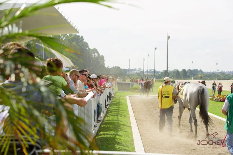 Domingo terá corridas ao vivo e programação para toda a família no Jockey Club do Paraná