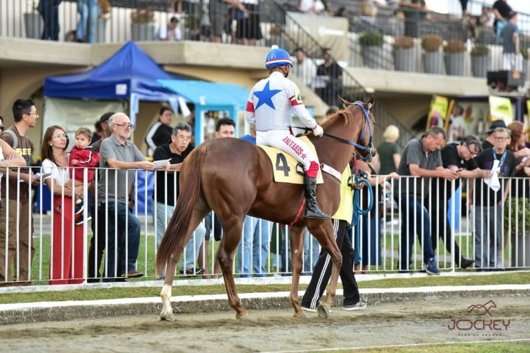 Próximo Domingo é  dia de corridas ao vivo e programação para toda a família no Jockey Club do Paraná