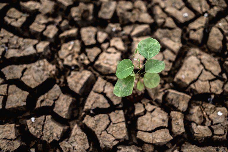 El Niño reforça a importância da eficiência energética para a competitividade industrial